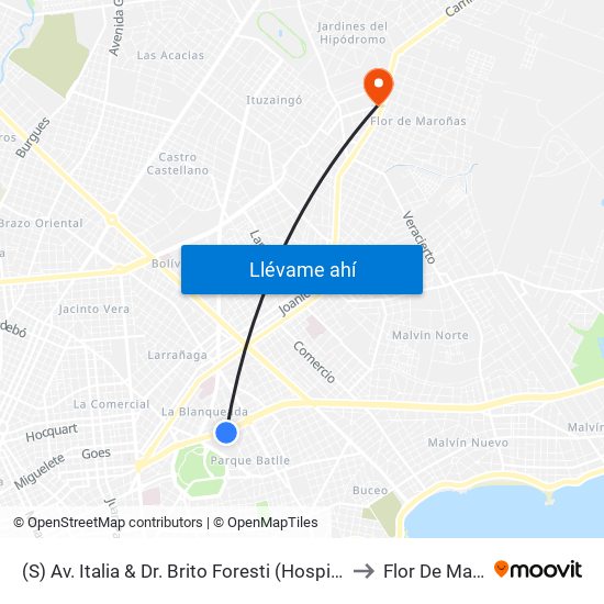 (S) Av. Italia & Dr. Brito Foresti (Hospital De Clinicas) to Flor De Maroñas map