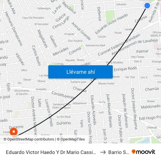 Eduardo Victor Haedo Y Dr Mario Cassinoni to Barrio Sur map