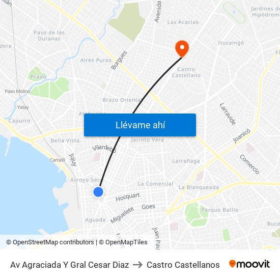 Av Agraciada Y Gral Cesar Diaz to Castro Castellanos map