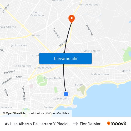 Av Luis Alberto De Herrera Y Placido Ellauri to Flor De Maronas map
