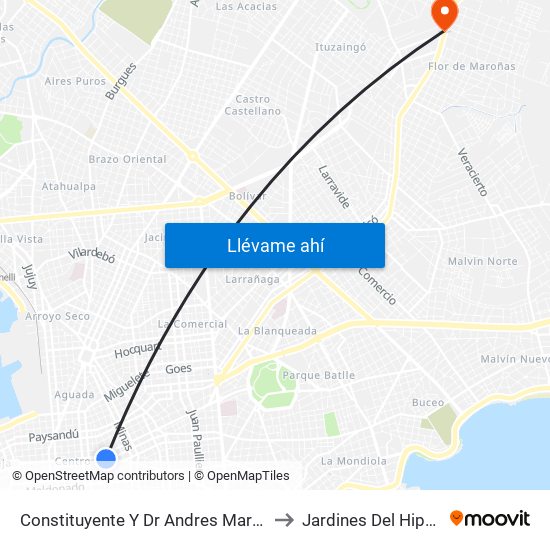 Constituyente Y Dr Andres Martinez Trueba to Jardines Del Hipodromo map