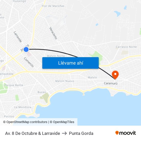 Av. 8 De Octubre & Larravide to Punta Gorda map