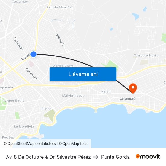 Av. 8 De Octubre & Dr. Silvestre Pérez to Punta Gorda map