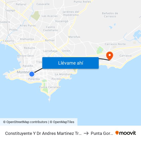 Constituyente Y Dr Andres Martinez Trueba to Punta Gorda map