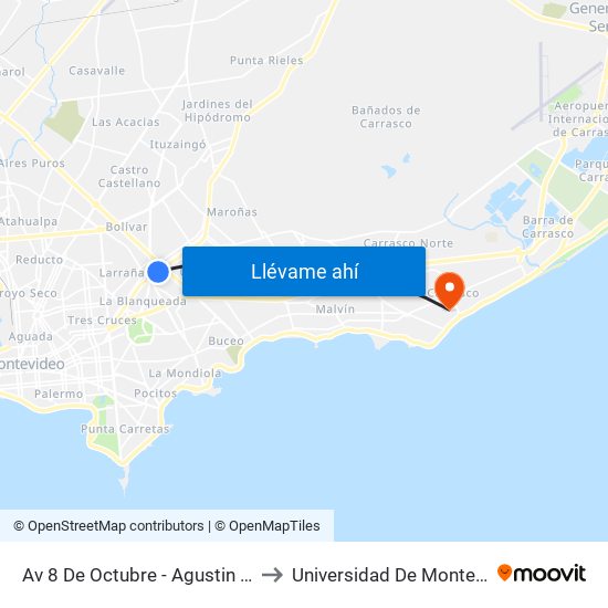 Av 8 De Octubre - Agustin Abreu to Universidad De Montevideo map