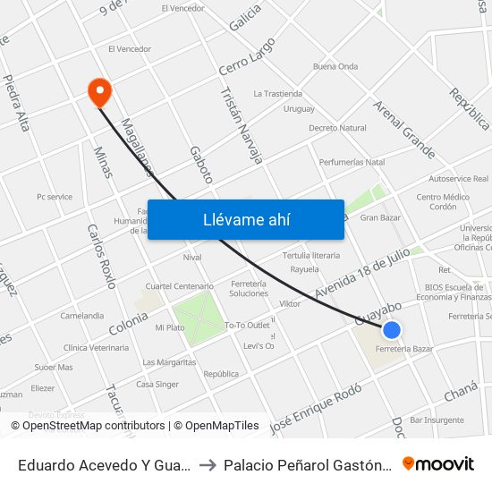 Eduardo Acevedo Y Guayabos to Palacio Peñarol Gastón Güelfi map