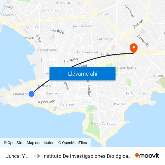 Juncal Y Sarandi to Instituto De Investigaciones Biológicas Clemente Estable map