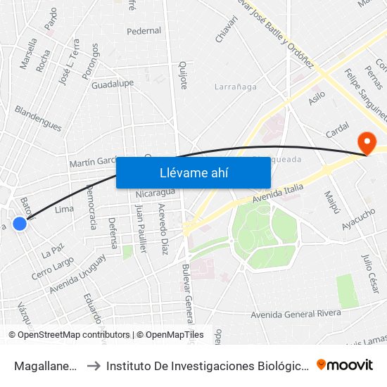 Magallanes Y Lima to Instituto De Investigaciones Biológicas Clemente Estable map