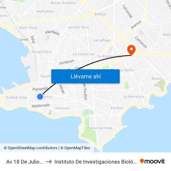 Av 18 De Julio - Rio Negro to Instituto De Investigaciones Biológicas Clemente Estable map