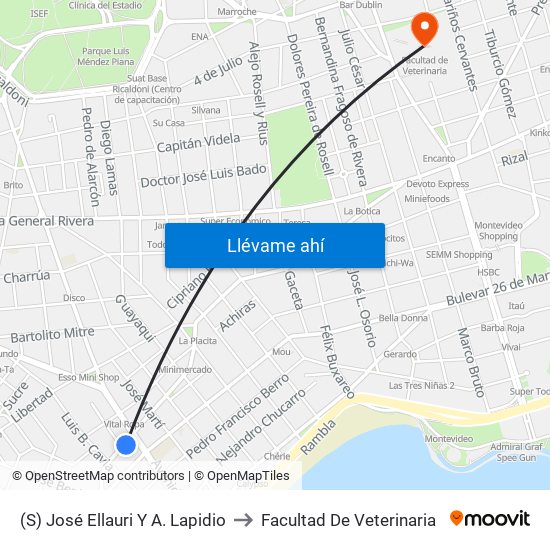 (S) José Ellauri Y A. Lapidio to Facultad De Veterinaria map