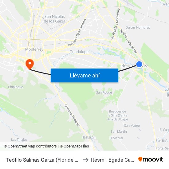 Teófilo Salinas Garza (Flor de Loto - Paseo de San Juan) to Itesm - Egade Campus Monterrey map