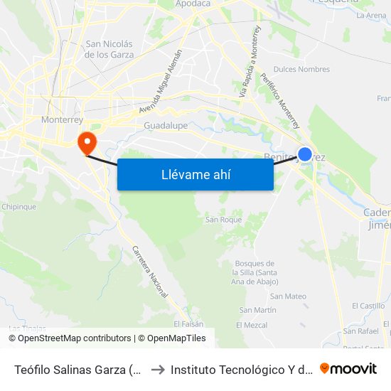 Teófilo Salinas Garza (Flor de Loto - Paseo de San Juan) to Instituto Tecnológico Y de Estudios Superiores de Monterrey map
