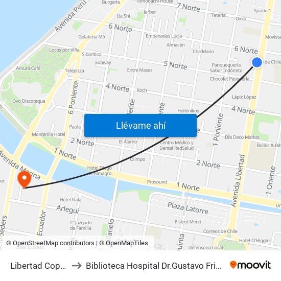 Libertad Copec to Biblioteca Hospital Dr.Gustavo Fricke map