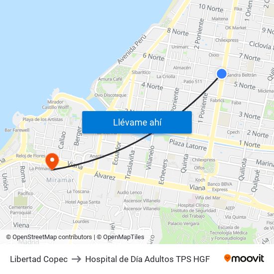 Libertad Copec to Hospital de Día Adultos TPS HGF map