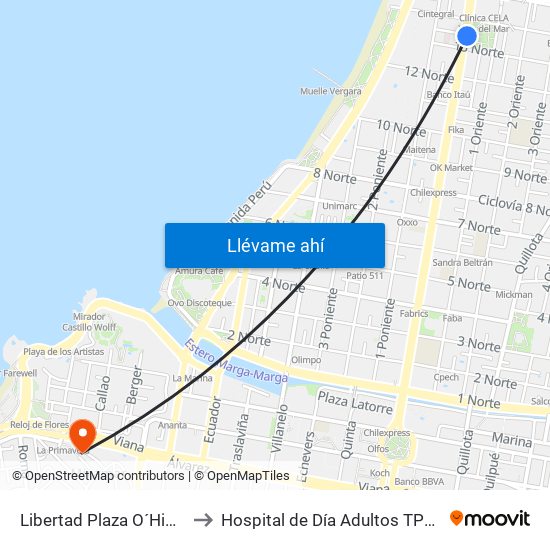 Libertad Plaza O´Higgins to Hospital de Día Adultos TPS HGF map