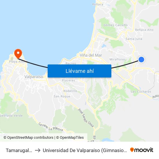 Tamarugal 1403 to Universidad De Valparaíso (Gimnasio Polideportivo) map