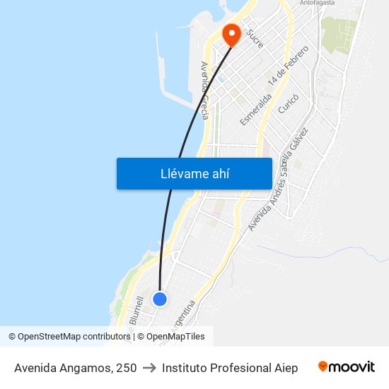 Avenida Angamos, 250 to Instituto Profesional Aiep map