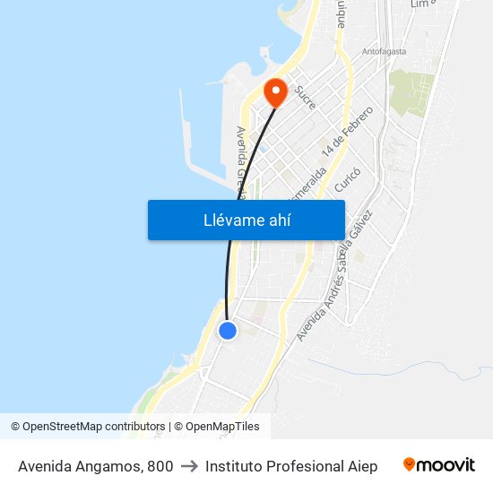 Avenida Angamos, 800 to Instituto Profesional Aiep map