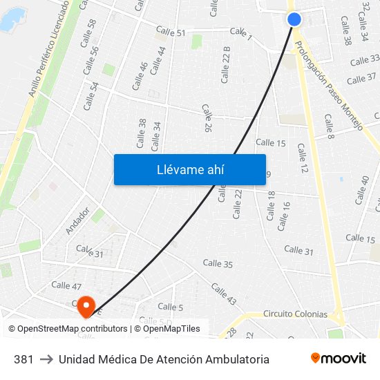 381 to Unidad Médica De Atención Ambulatoria map