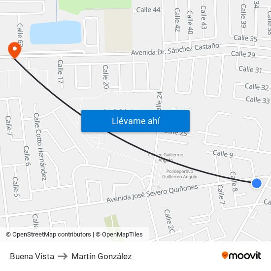 Buena Vista to Martín González map