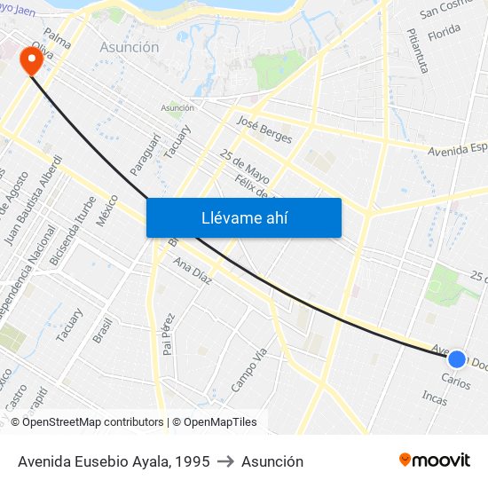 Avenida Eusebio Ayala, 1995 to Asunción map