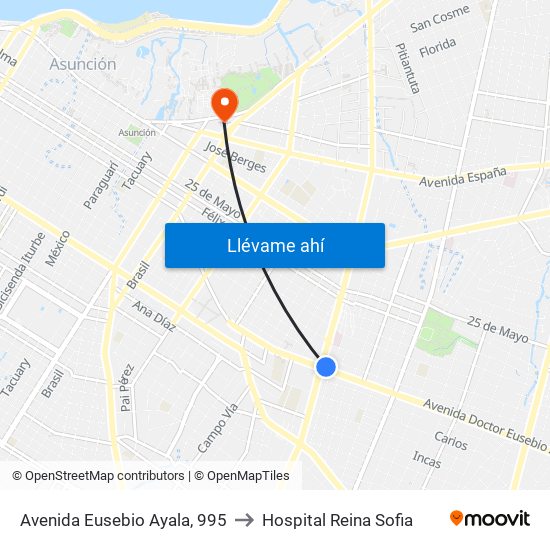 Avenida Eusebio Ayala, 995 to Hospital Reina Sofia map