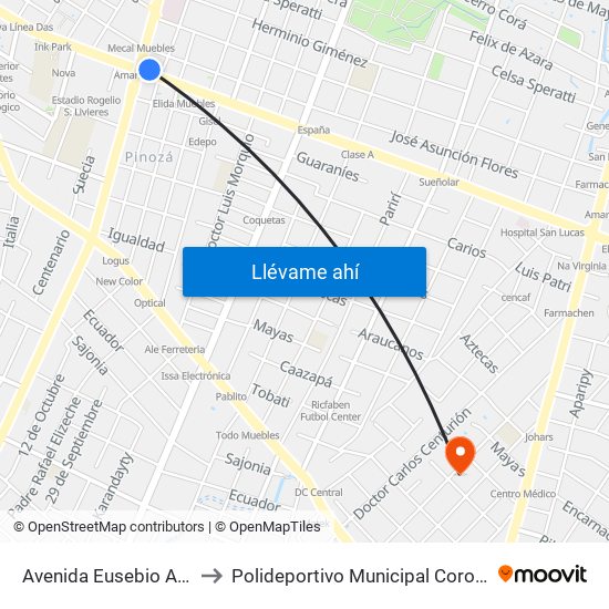 Avenida Eusebio Ayala, 995 to Polideportivo Municipal Coronel Martinez map