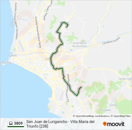 3809 Bus Line Map