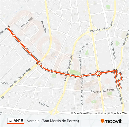 AN19 Bus Line Map