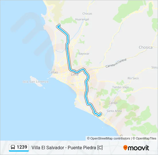 1239 Bus Line Map