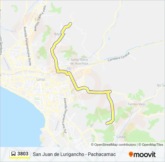 3803 Bus Line Map