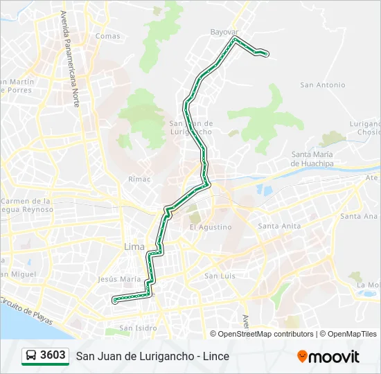 3603 Bus Line Map