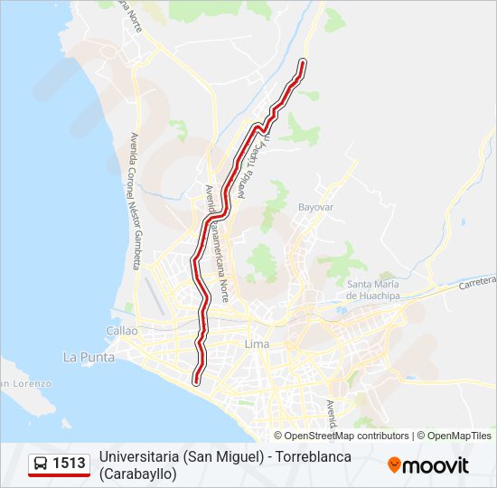 Mapa de 1513 de autobús