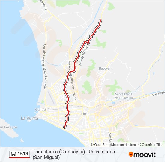 Mapa de 1513 de autobús