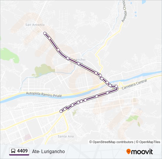 4409 bus Line Map