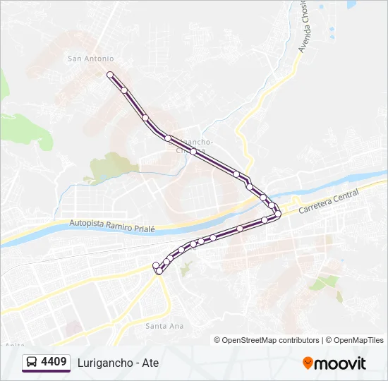 4409 Bus Line Map
