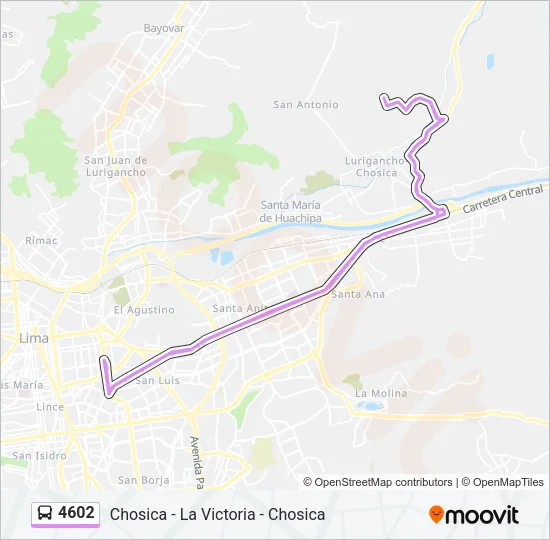 4602 Bus Line Map