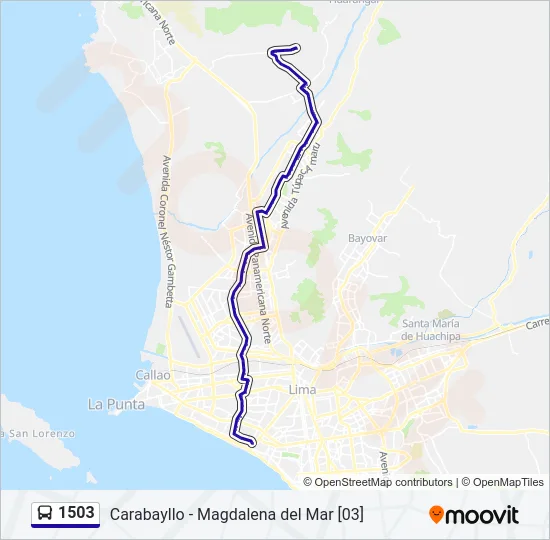 1503 Bus Line Map
