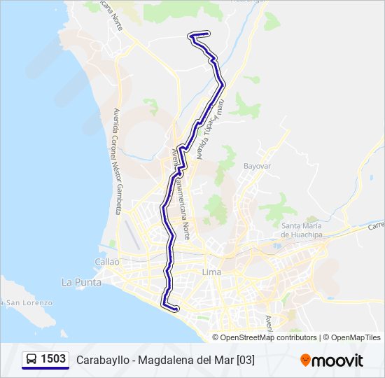 Mapa de 1503 de autobús