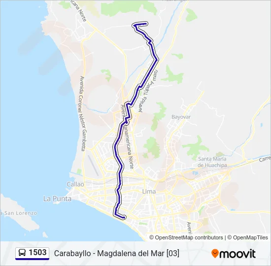 1503 Bus Line Map