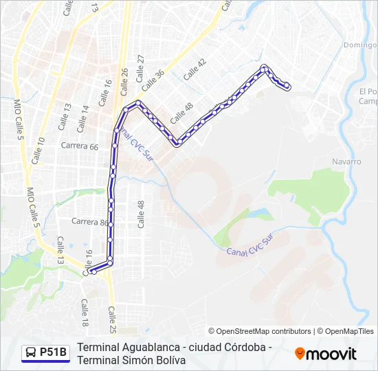 P51B Bus Line Map