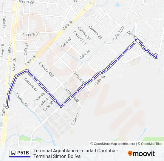 P51B Bus Line Map