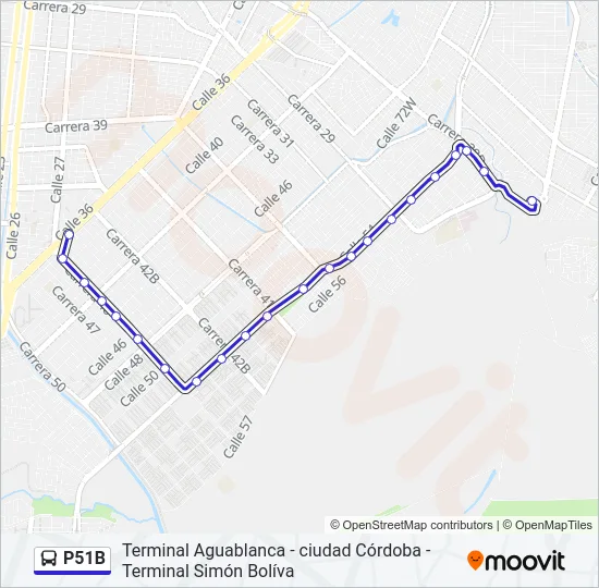 P51B Bus Line Map