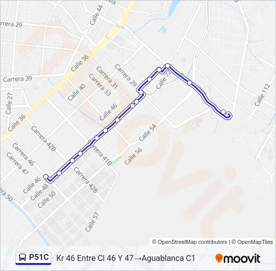 P51C Bus Line Map
