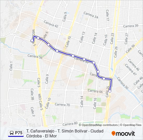 P75 bus Line Map