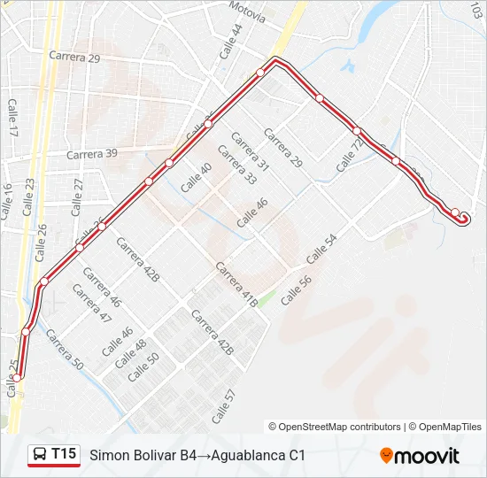 T15 Bus Line Map