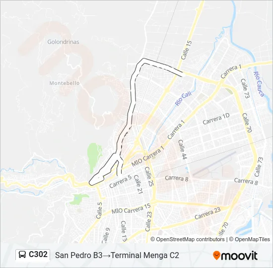 C302 Bus Line Map