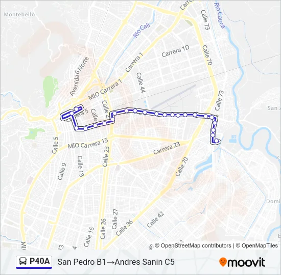 P40A Bus Line Map