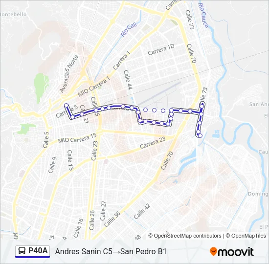 P40A Bus Line Map