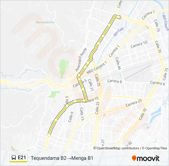 E21 Bus Line Map